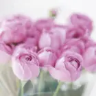 Blomster