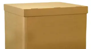 Container låg 800 x 600 x 100